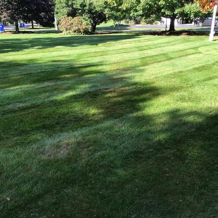 Fall mowing and cleanup
