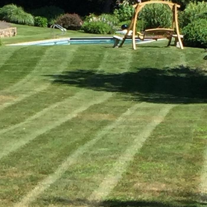 Poolside lawn, cut and striped
